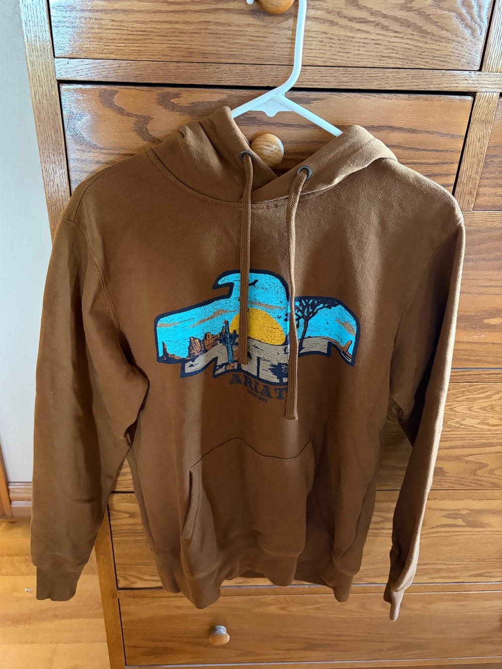 Womens Ariat Horizon Hoodie